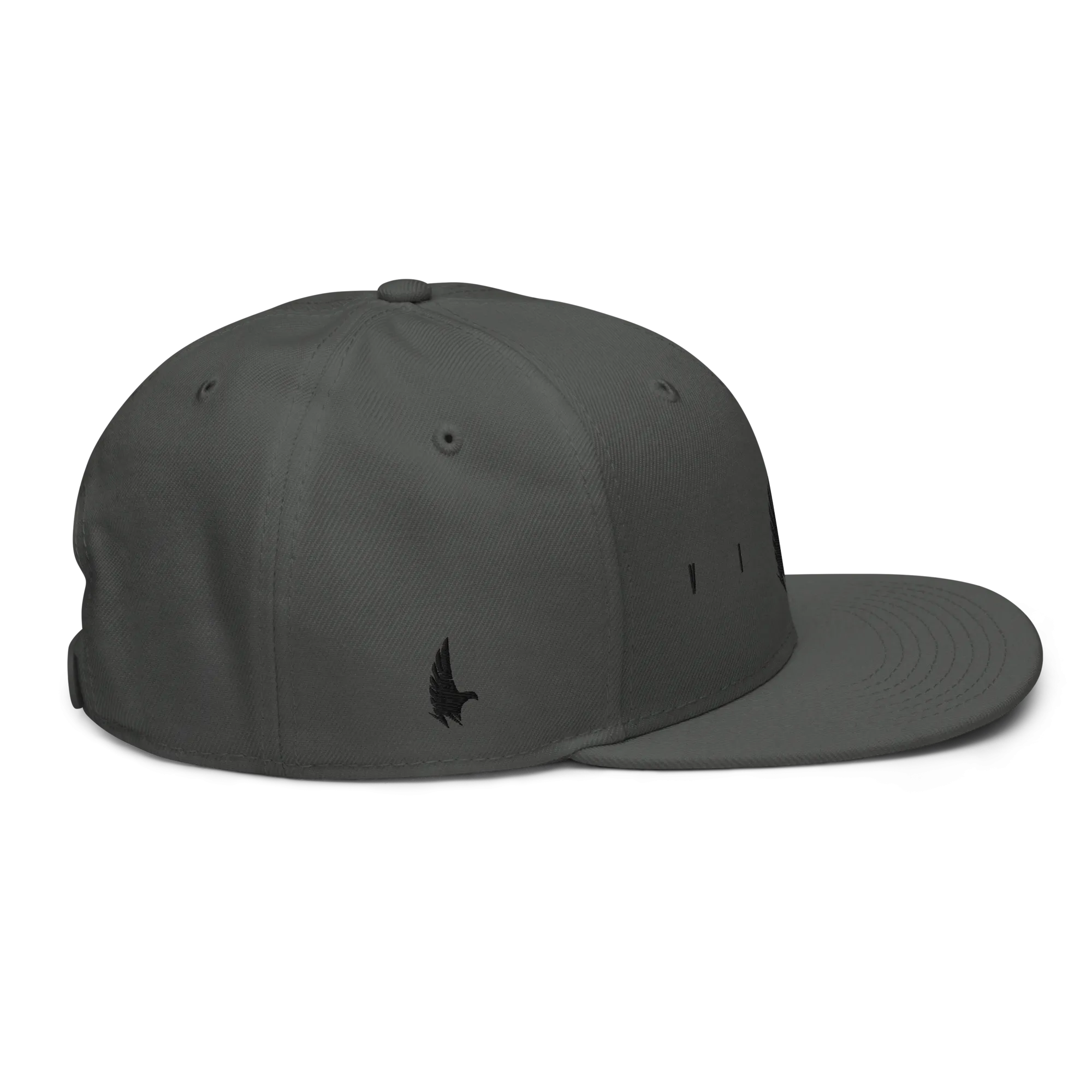 Flex Logo Snapback Hat