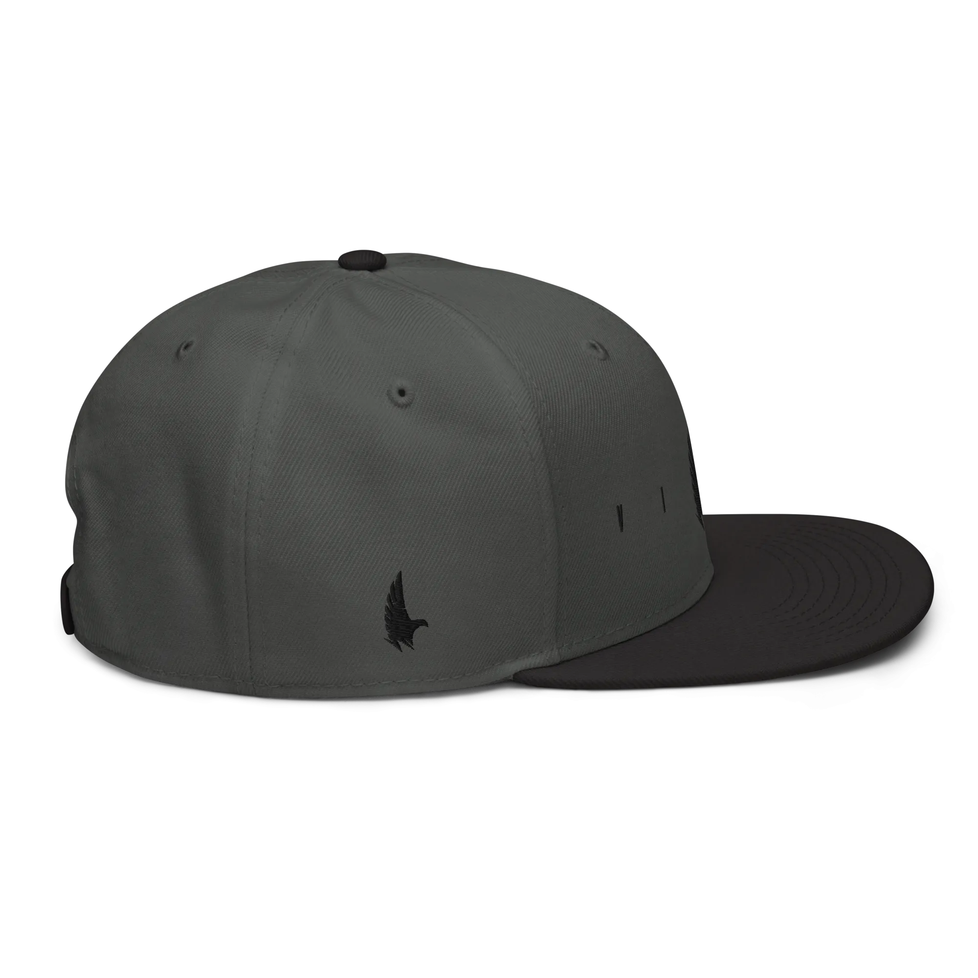 Flex Logo Snapback Hat