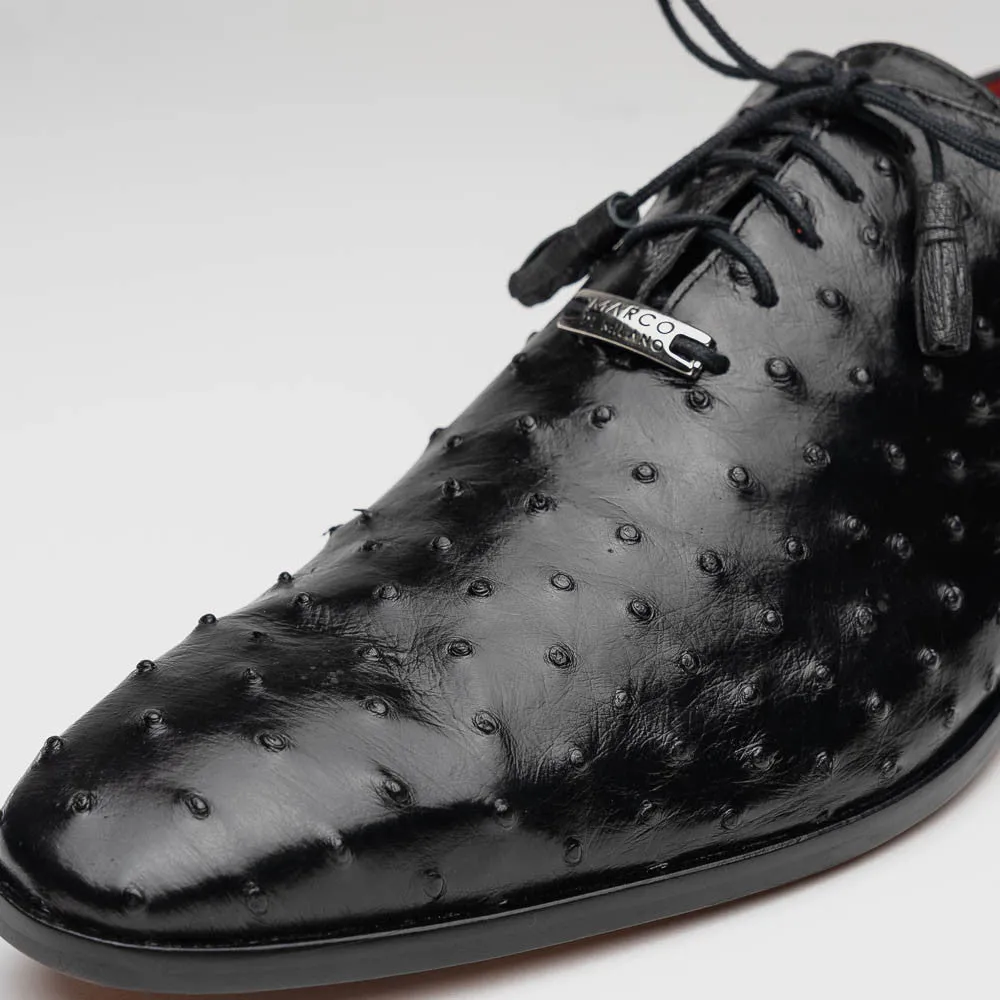 Marco Di Milano Criss Oxford Black Ostrich Shoes